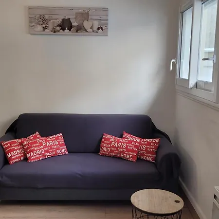 Ravissant T3 Centre-ville- A Cote Du Rexhotel 3* טרבה